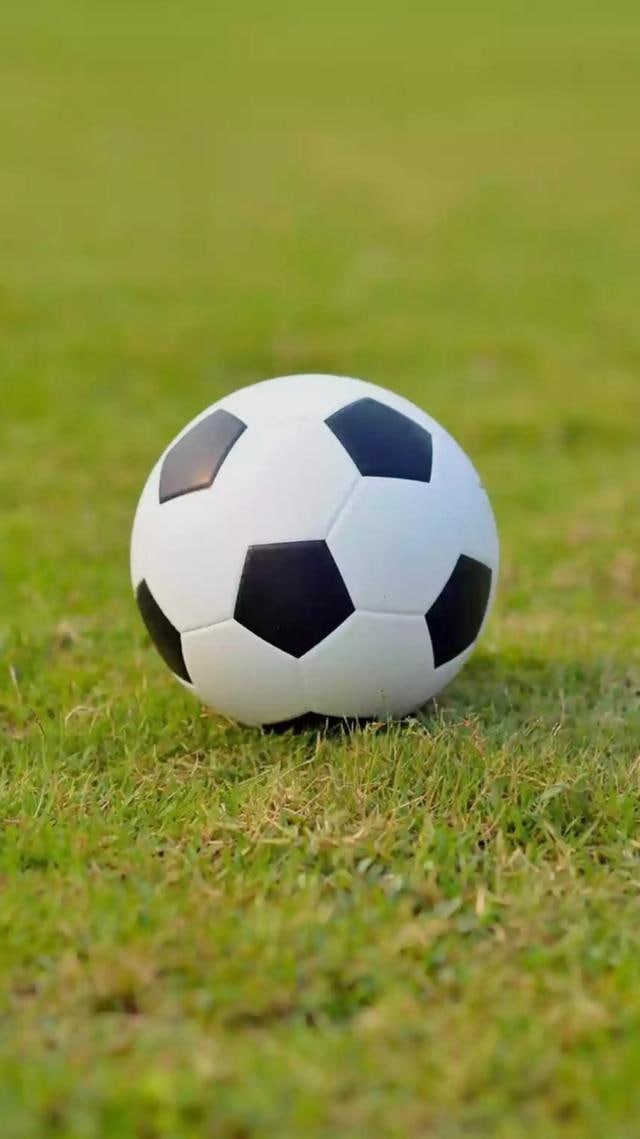 社交观赛组织者安排观赛活动